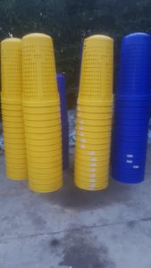 Da febbraio, sacco blu anche nelle scuole