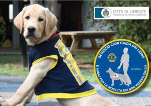 “Limbiate Day” – 5 maggio, dalle 9.30