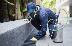 Decoro Urbano: interventi di prevenzione e disinfestazione