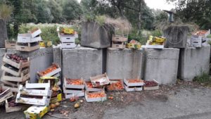 Abbandono rifiuti: identificati altri due scaricatori abusivi grazie alle fototrappole