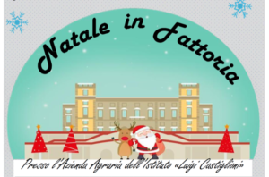 Natale in fattoria 2019 – 15 dicembre