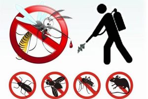 Decoro Urbano: interventi di prevenzione e disinfestazione