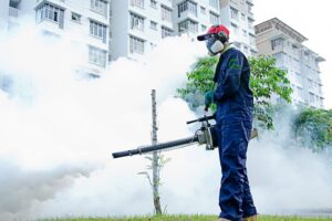 Monitoraggio e mappatura blattoidei sul territorio