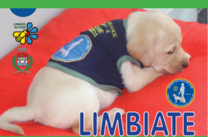 Giornate FAI di primavera: il centro cani guida apre le sue porte