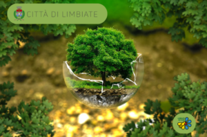 Censimento Arboreo Digitale