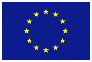 Elezioni Europee: disponibilità per subentro a componente di seggio