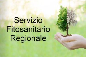 Servizio Fitosanitario Regionale – Informazioni utili